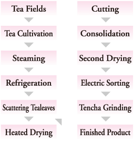 Maccha, From Start to Finish