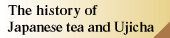 The history of Japanese tea and Ujicha