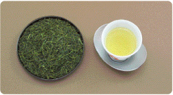 Sencha