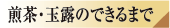 煎茶・玉露のできるまで